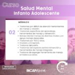 SALUD MENTAL INFANTO ADOLESCENTE - Imagen 3