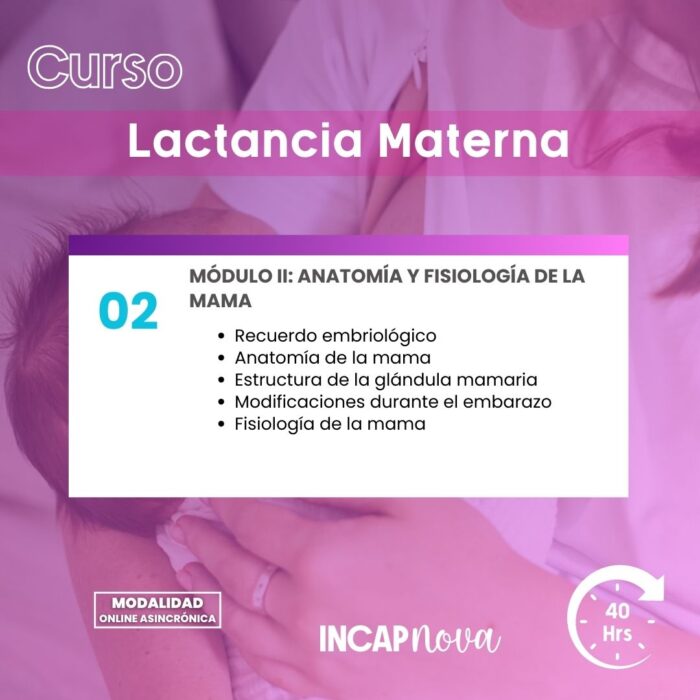 LACTANCIA MATERNA - Imagen 3